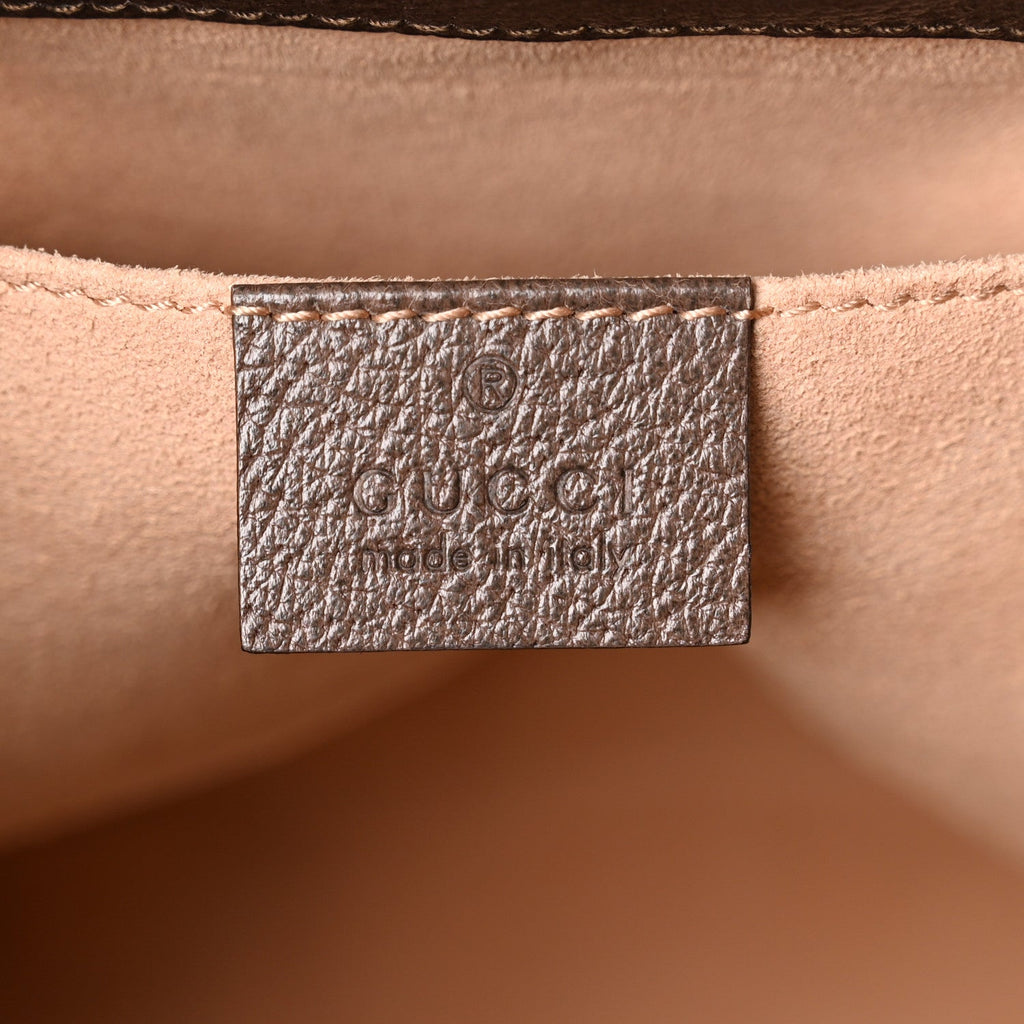 GG Supreme Monogram Web Small Ophidia Bucket Bag Brown