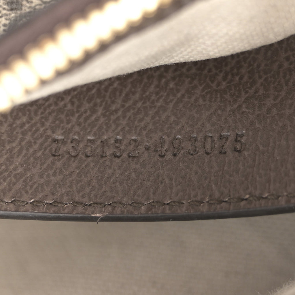 GG Supreme Monogram Textured Dollar Calfskin Web Small Ophidia GG Handbag Beige Ebony New Acero