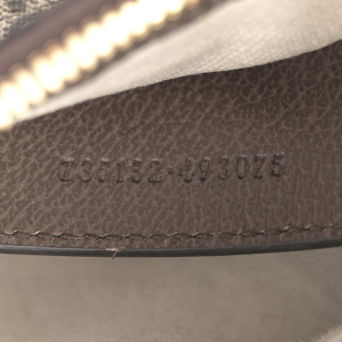 GG Supreme Monogram Textured Dollar Calfskin Web Small Ophidia GG Handbag Beige Ebony New Acero