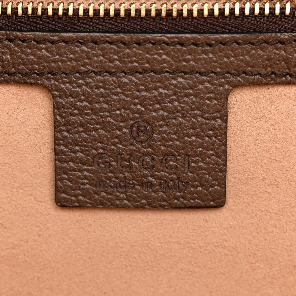 GG Supreme Monogram Medium Ophidia Shopping Tote Brown