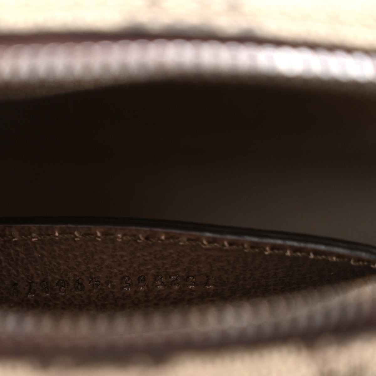 GG Supreme Monogram Web Mini Ophidia Messenger Brown