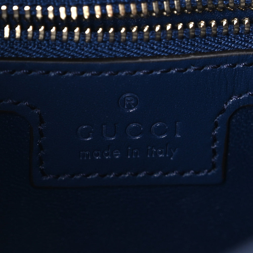 Sea Calfskin Web Medium Jackie 1961 Hobo Plastic Blue