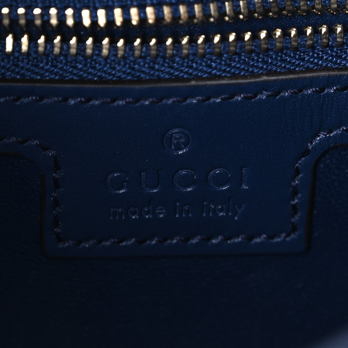 Sea Calfskin Web Medium Jackie 1961 Hobo Plastic Blue