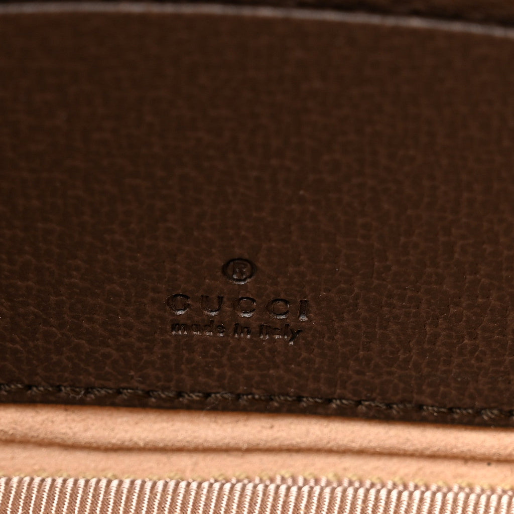 GG Supreme Monogram Web Mini Ophidia GG Bag Brown