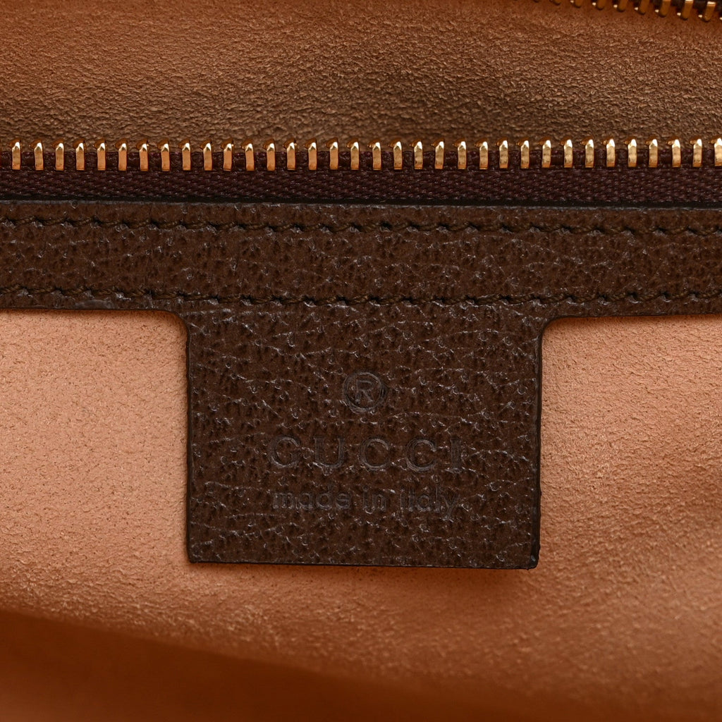 GG Supreme Monogram Web Medium Ophidia Top Handle Dome Bag Brown