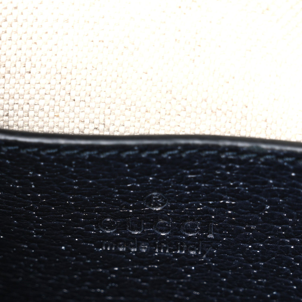 GG Supreme Monogram Textured Dollar Calfskin Mini Retro Interlocking G Tote Bag Beige Blue