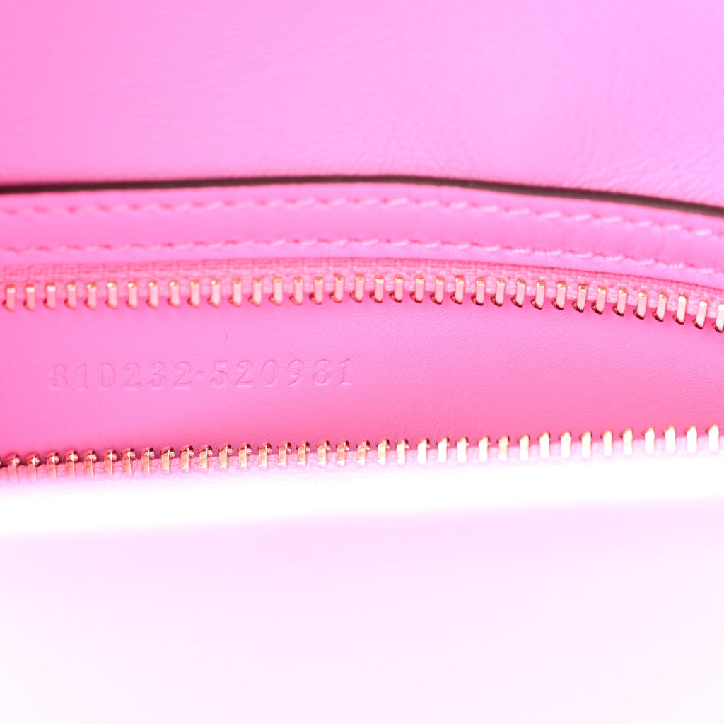 Ancora Calfskin Web Medium Jackie 1961 Hobo Pink