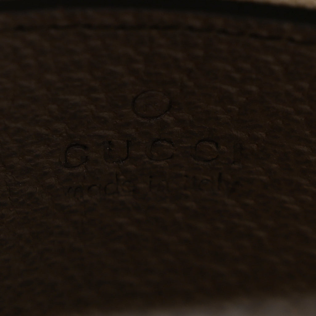 GG Supreme Monogram Web Mini Ophidia Messenger Brown