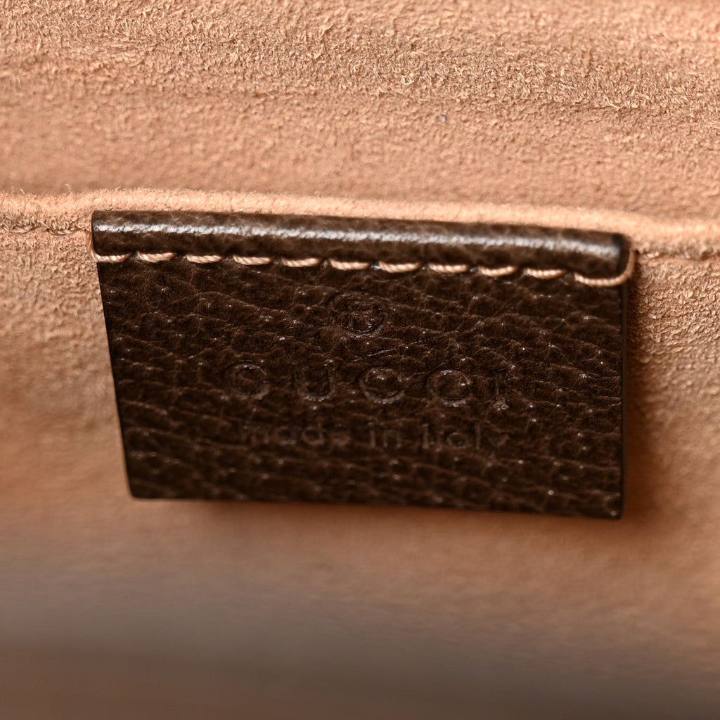 GG Supreme Monogram Web Small Ophidia Bucket Bag Brown