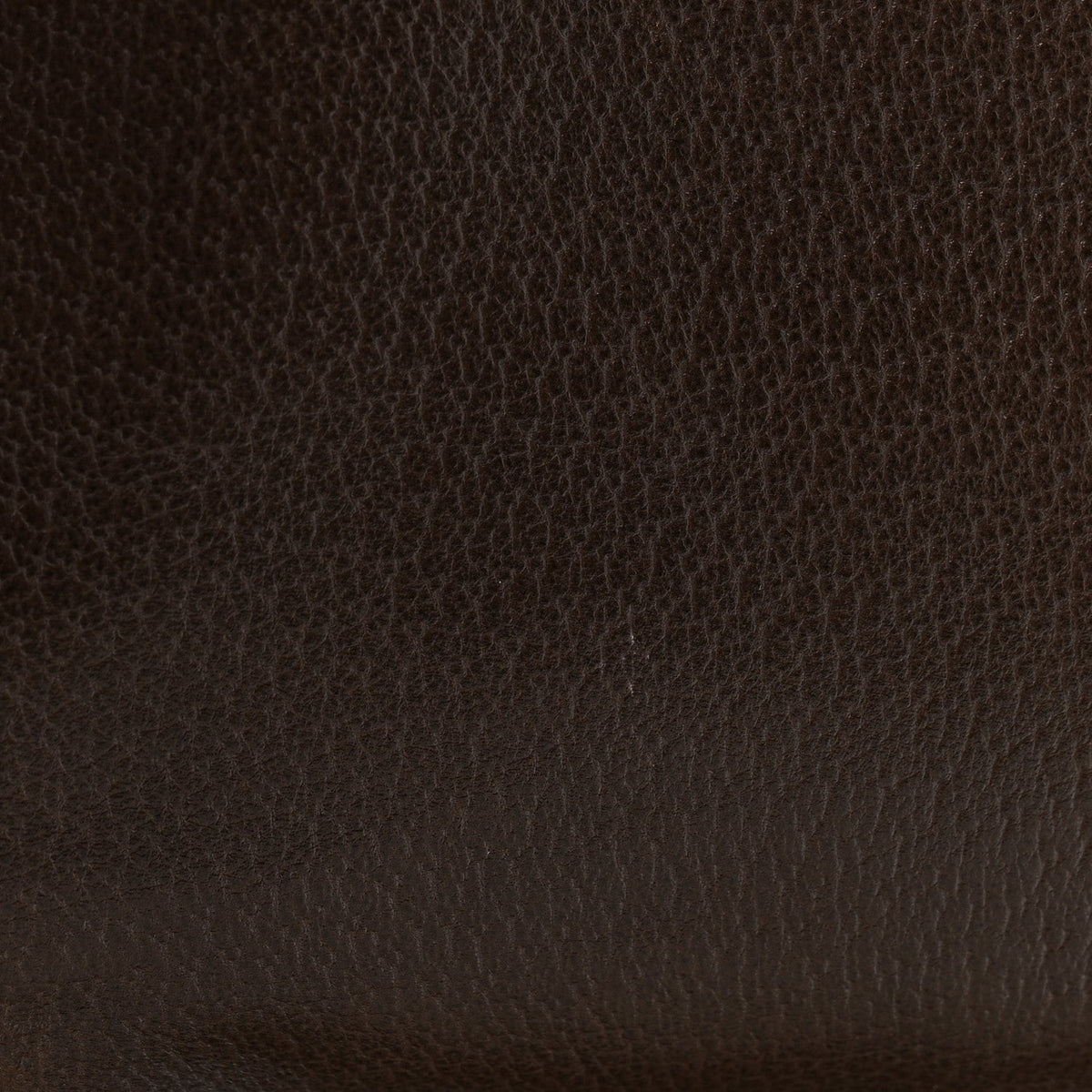 GG Supreme Monogram Textured Dollar Calfskin Web Medium Blondie Shoulder Flap Bag Beige Ebony New Acero