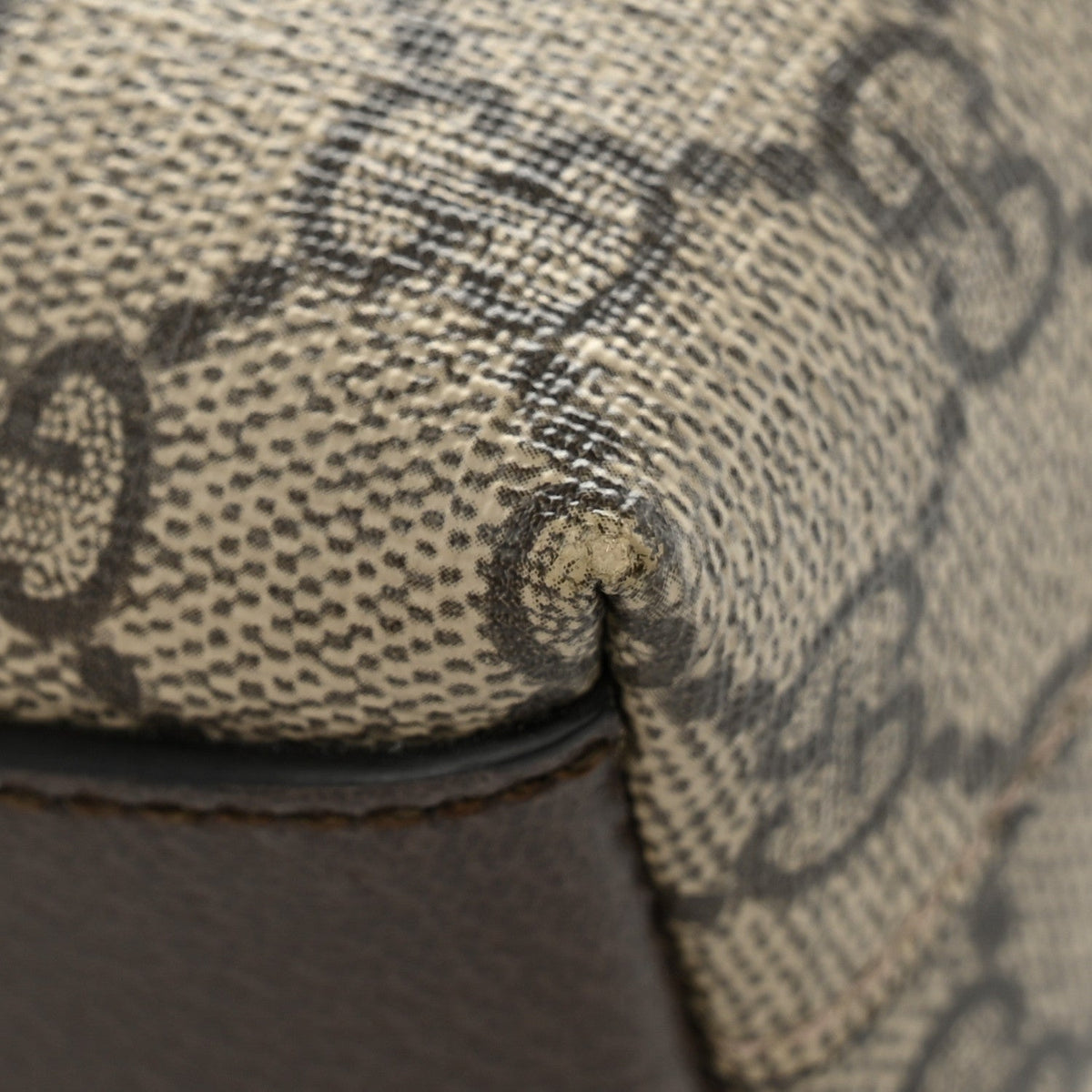GG Supreme Monogram Textured Dollar Calfskin Web Small Ophidia Dome Shoulder Bag Beige Ebony New Acero