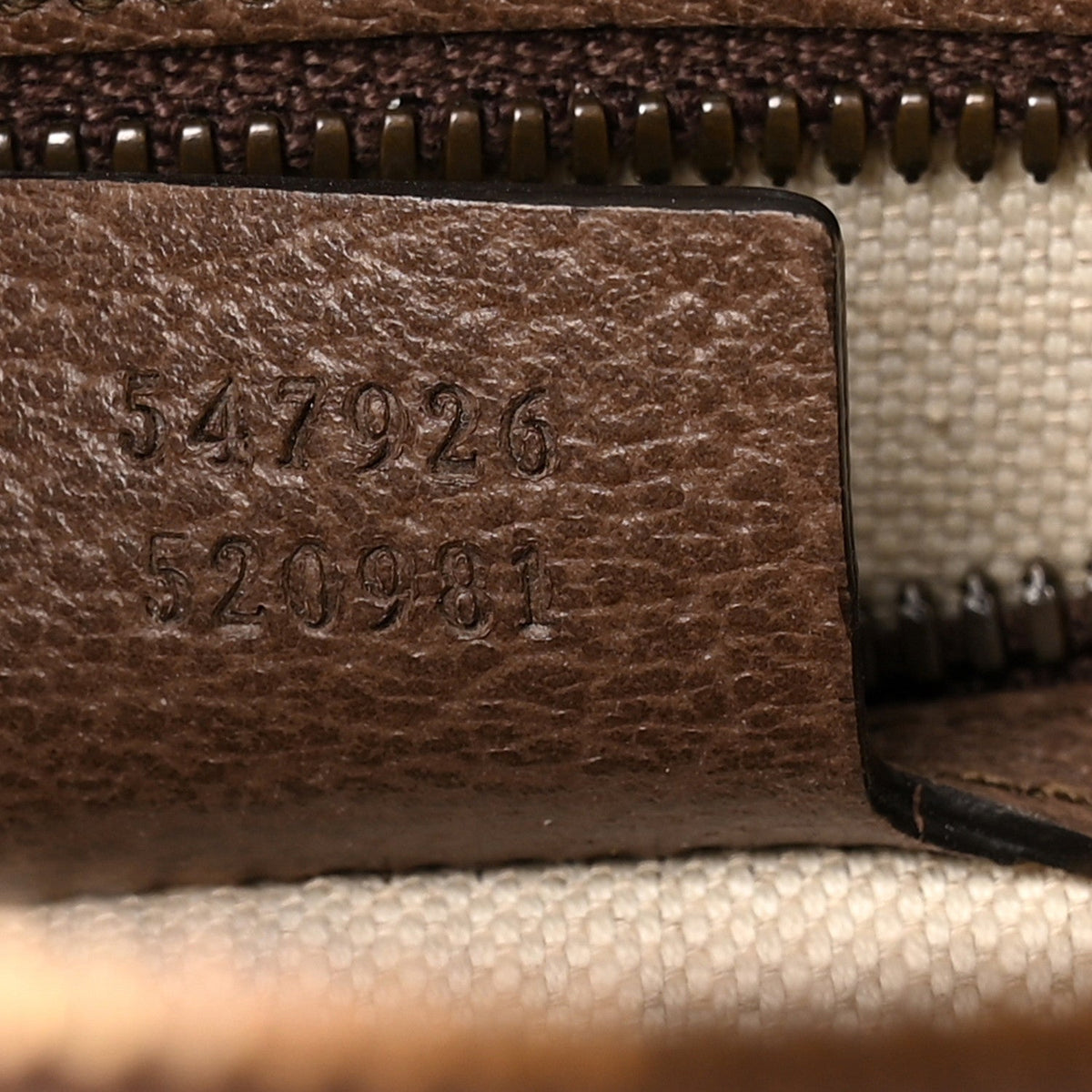 GG Supreme Monogram Web Small Ophidia Messenger Bag Brown