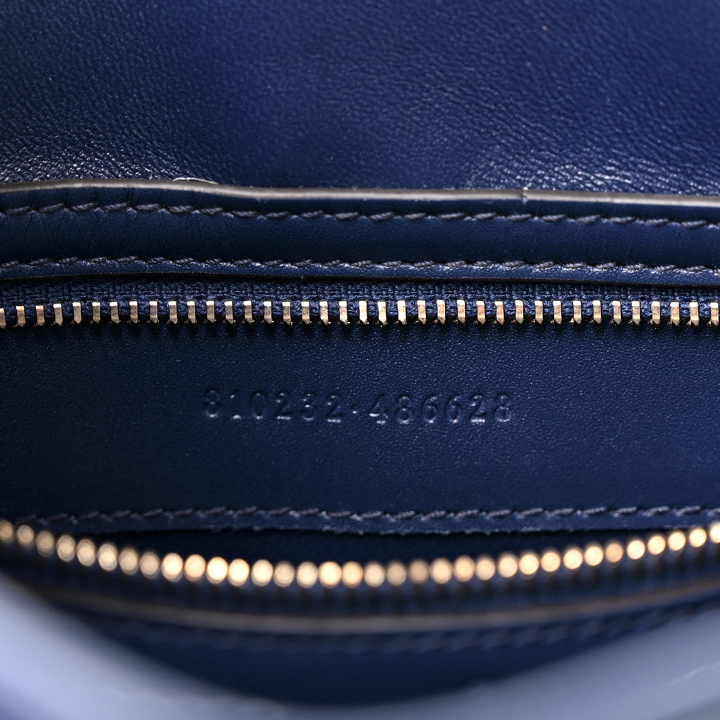 Sea Calfskin Web Medium Jackie 1961 Hobo Plastic Blue