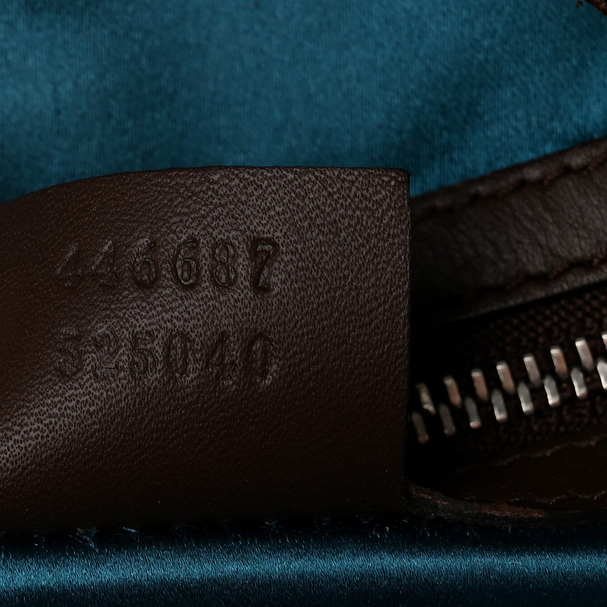 Velvet GG Monogram Web Medium Dionysus Hobo Brown