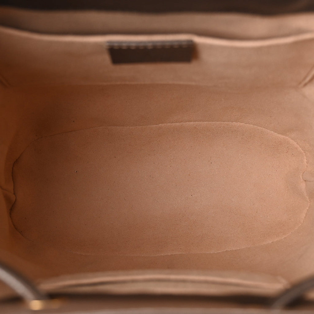 GG Supreme Monogram Web Small Ophidia Bucket Bag Brown